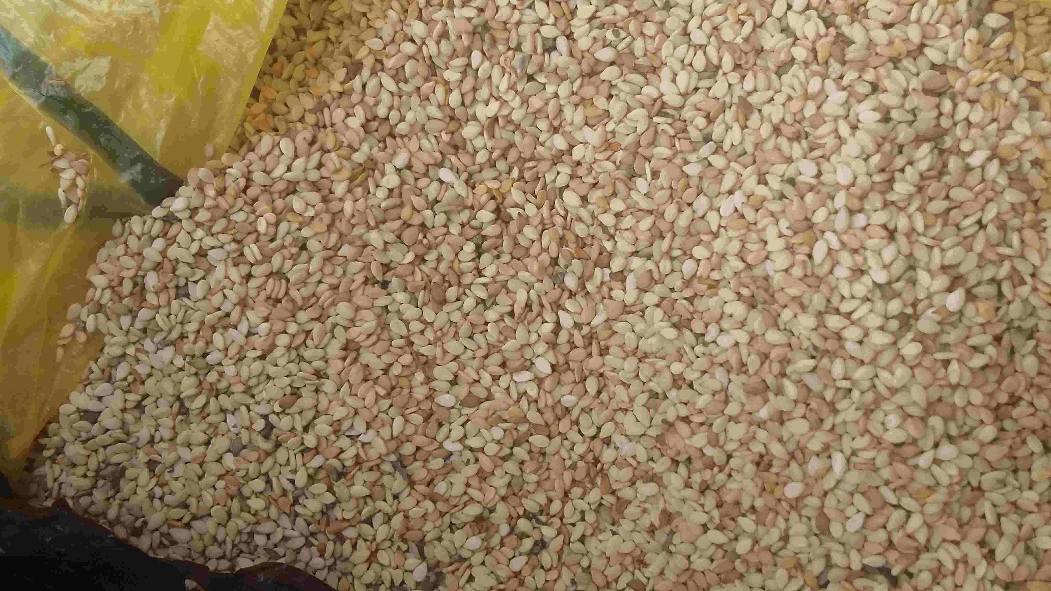 Premium Organic Nigerian Sesame Seeds